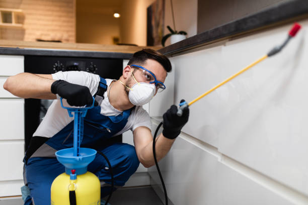 Best Pest Removal Services  in Macon, MO