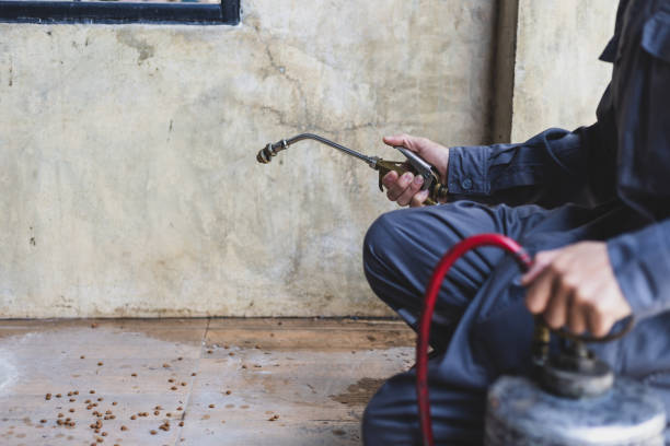Best Termite Control Services  in Macon, MO