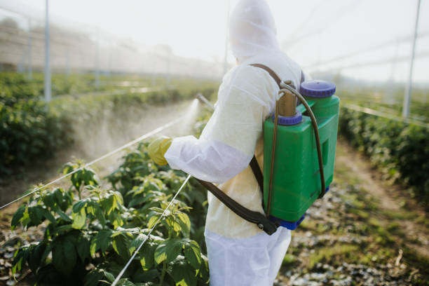 Best Best Pest Control Companies  in Macon, MO